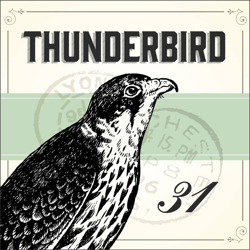 Email Setup for Thunderbird 31