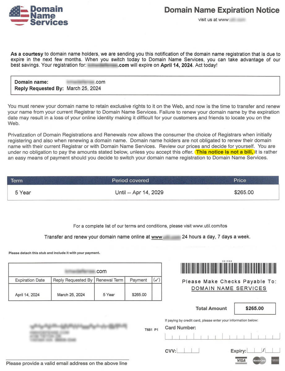 Fake domain name renewal invoice from Domain Name Services