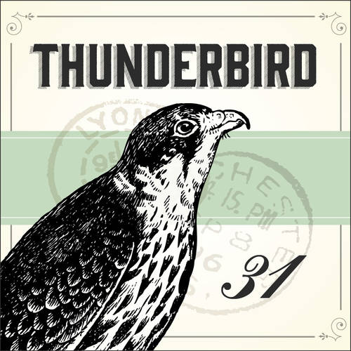 Email Setup for Thunderbird 31