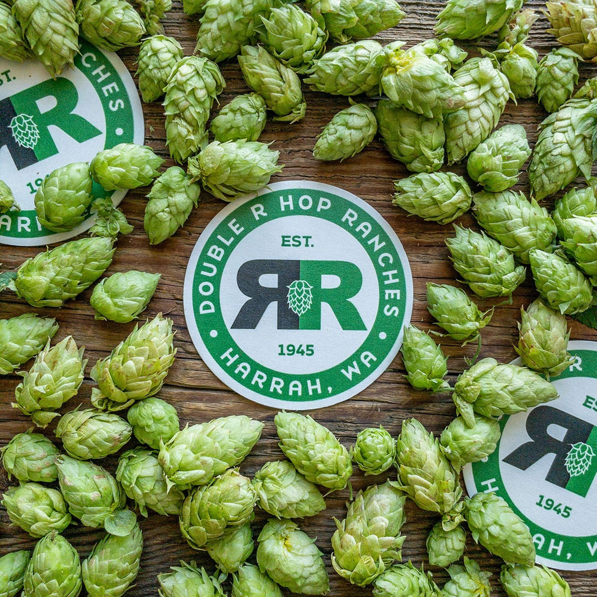 Double R Hop Ranches Coasters
