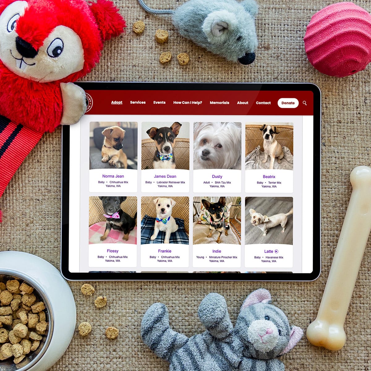 Animal Rescue Website