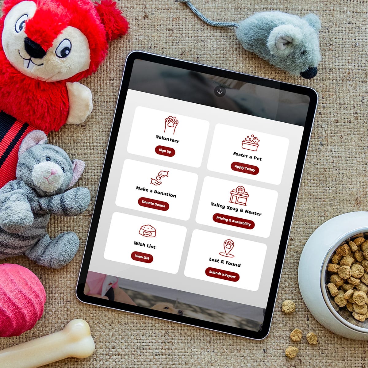 Pet Rescue Website